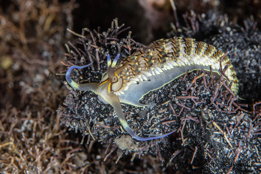 271542354 654447555684791 1999595563249378631 n