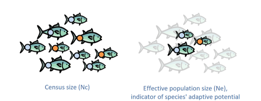 Capture decran 2024 11 04 181539