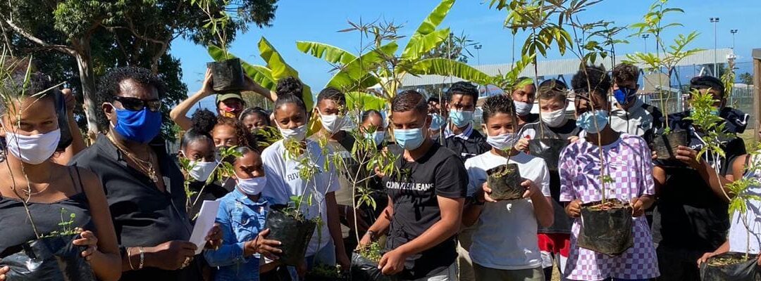 Création d’un arboretum d’espèces indigènes au collège de la Chatoire au Tampon (2020-2024)