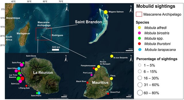 The Mascarene Archipelago in the western Indian Ocean top left panel shows the spatial W640 The Mascarene Archipelago in the western Indian Ocean top left panel shows the spatial W640