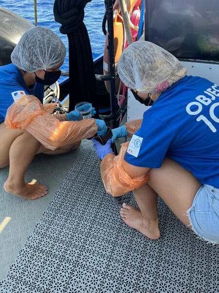 collecte adn recherche 12