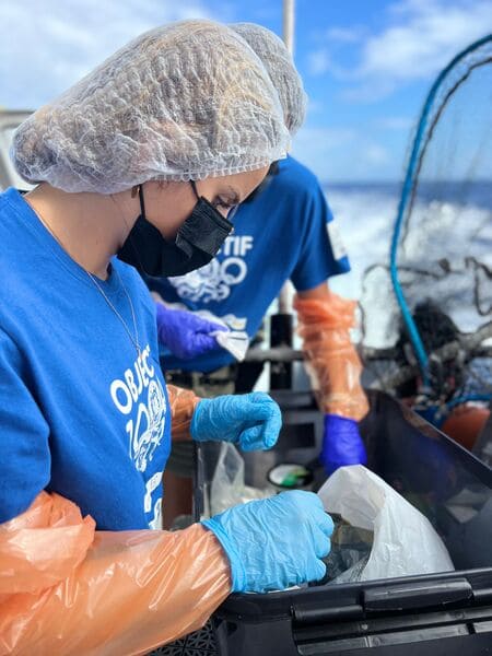 collecte adn recherche 13