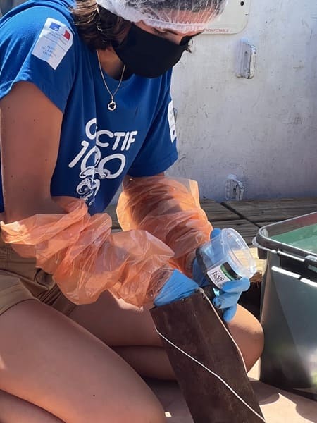 collecte adn recherche 3