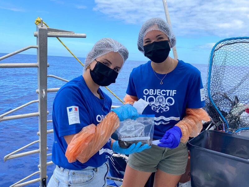 collecte adn recherche 9