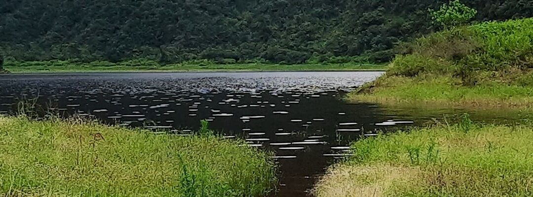 Branchiopodes de l’île de la Réunion (2020-2022)