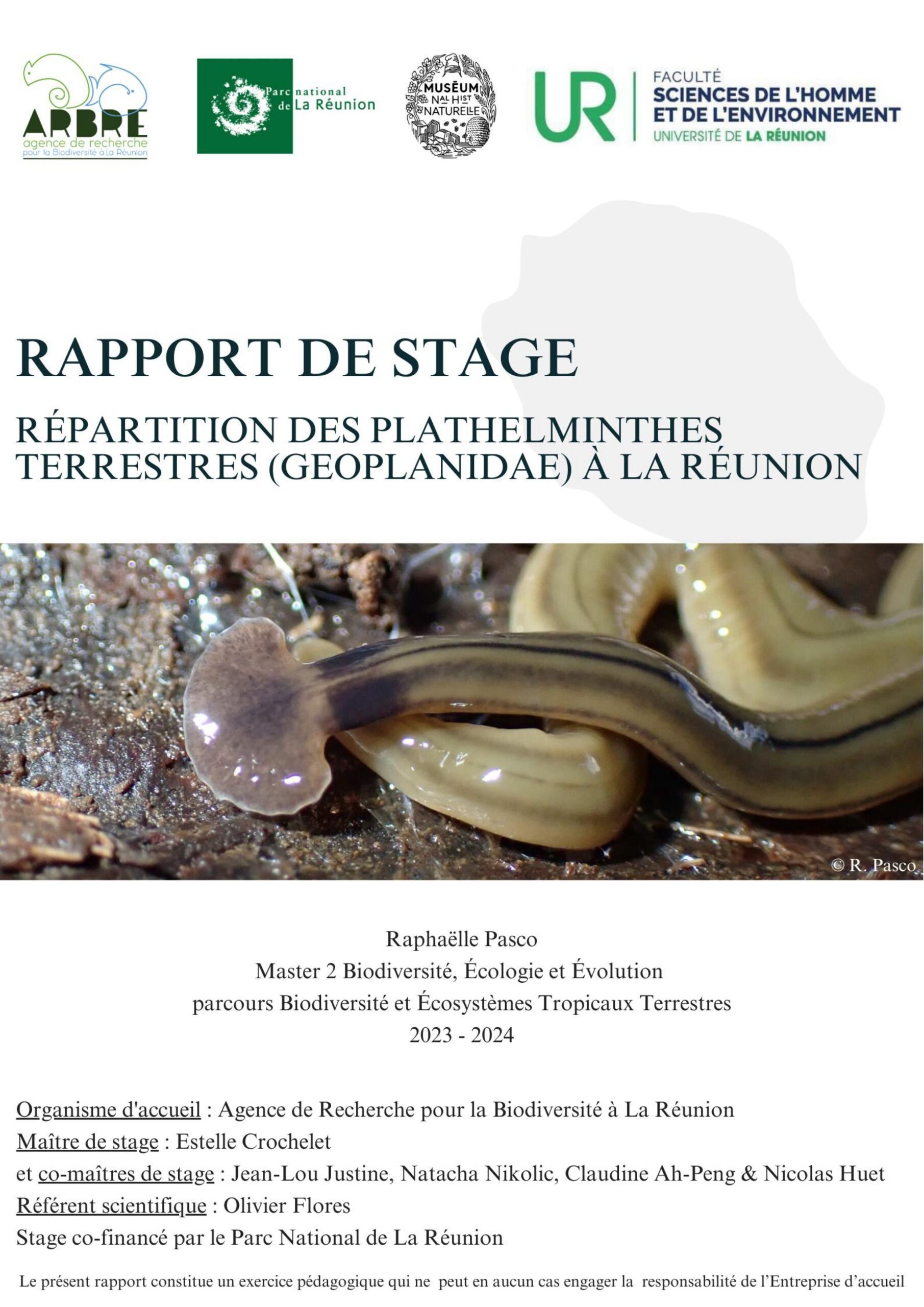 plathelminthes scaled