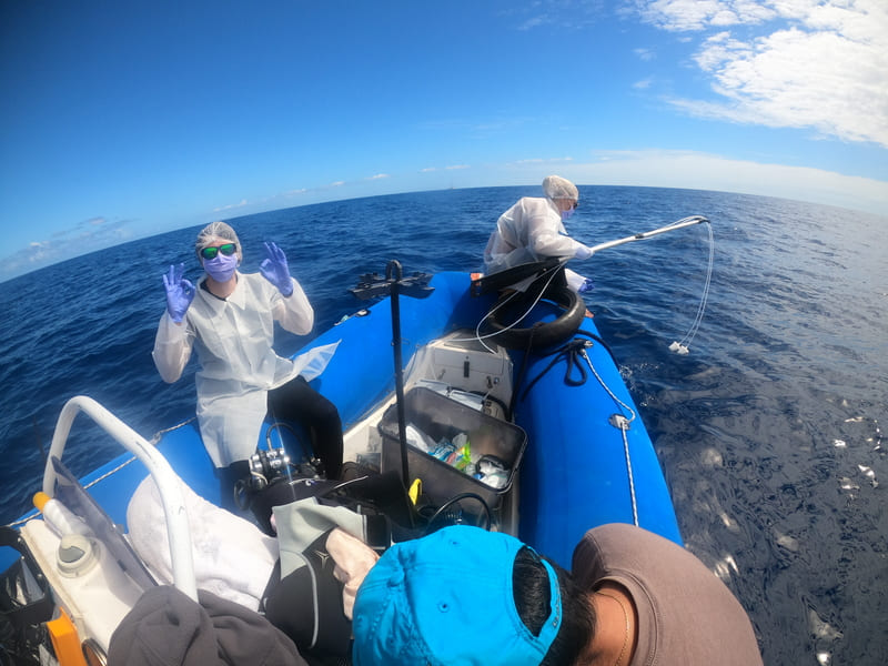 recherche scientifique