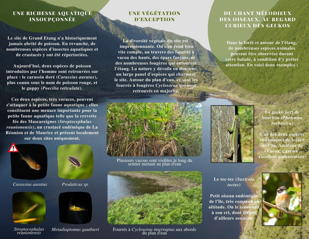 sensibilisation reunion 2