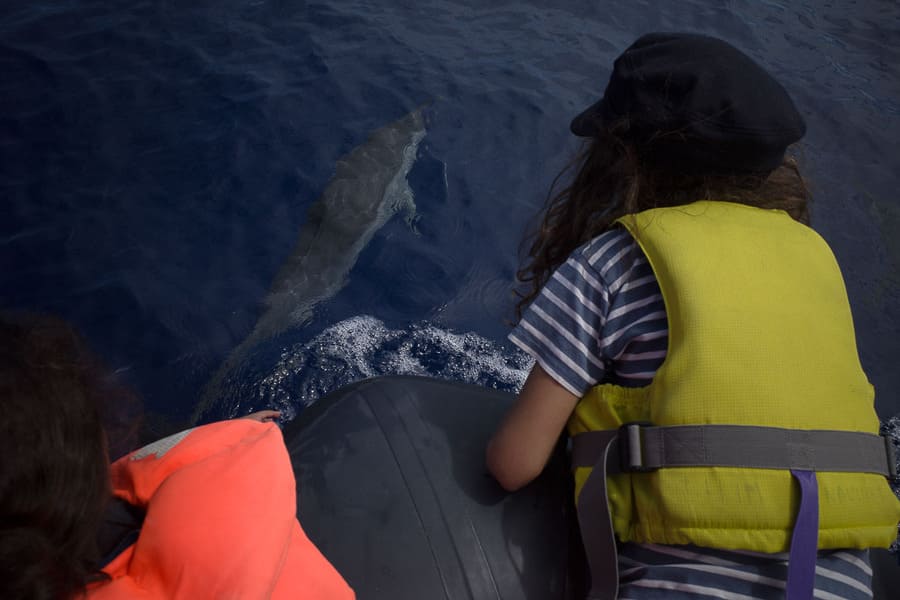 stage vacances apprenantes reunion 4