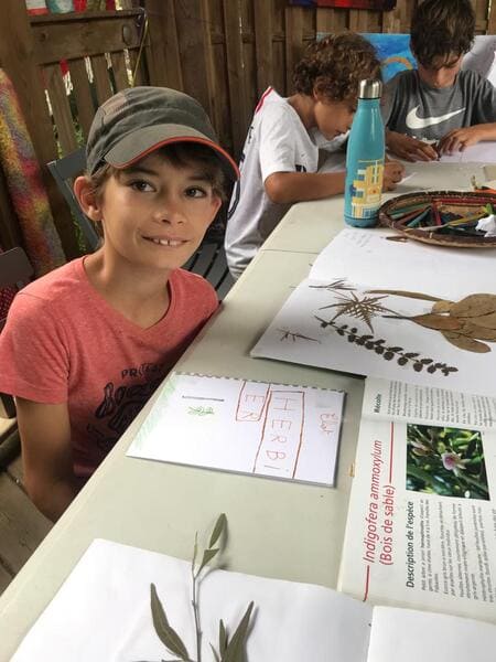 vacances activites reunion 12