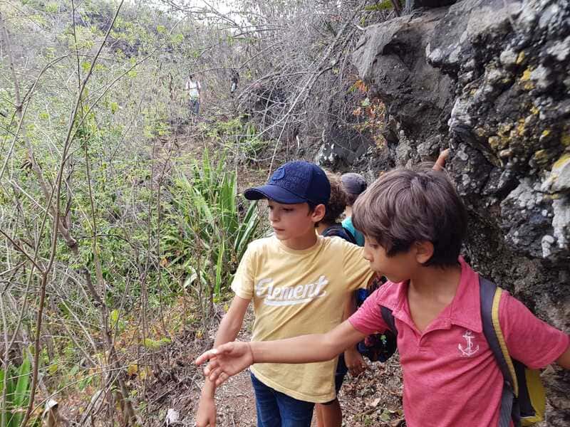 vacances activites reunion 13