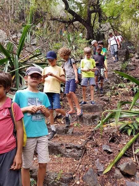 vacances activites reunion 14